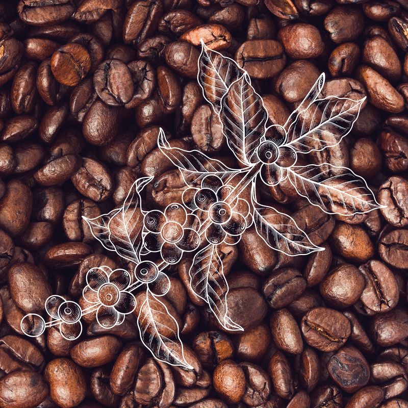 Café dos Casteletes, identidade visual e packaging para café tradicional da Urzelina, São Jorge