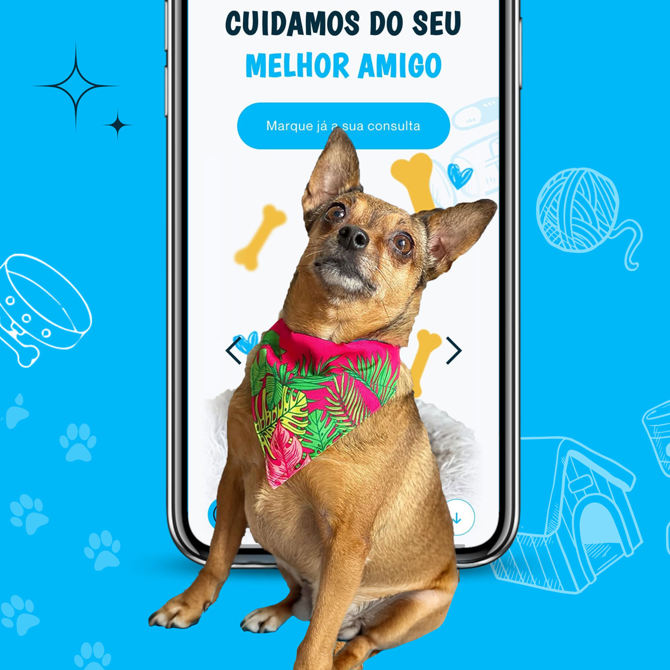 Clínica Veterinária de São Gonçalo, website, e-commerce e app para clínica veterinária nos Açores